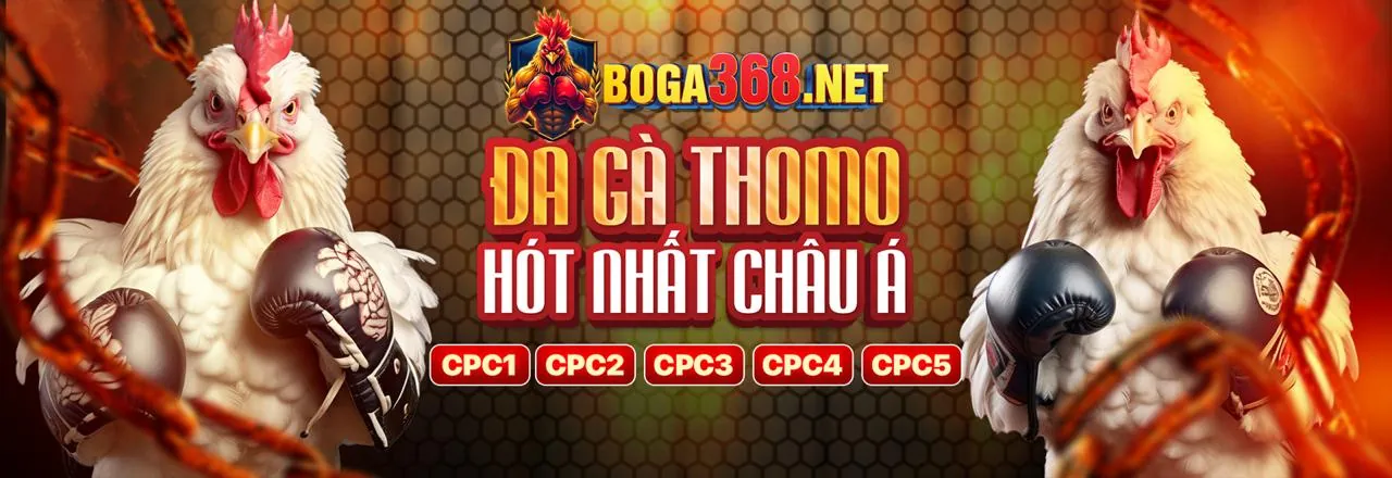 Giới thiệu về yoo88 - Nhà cái cá cược trực tuyến hàng đầu Việt Nam
