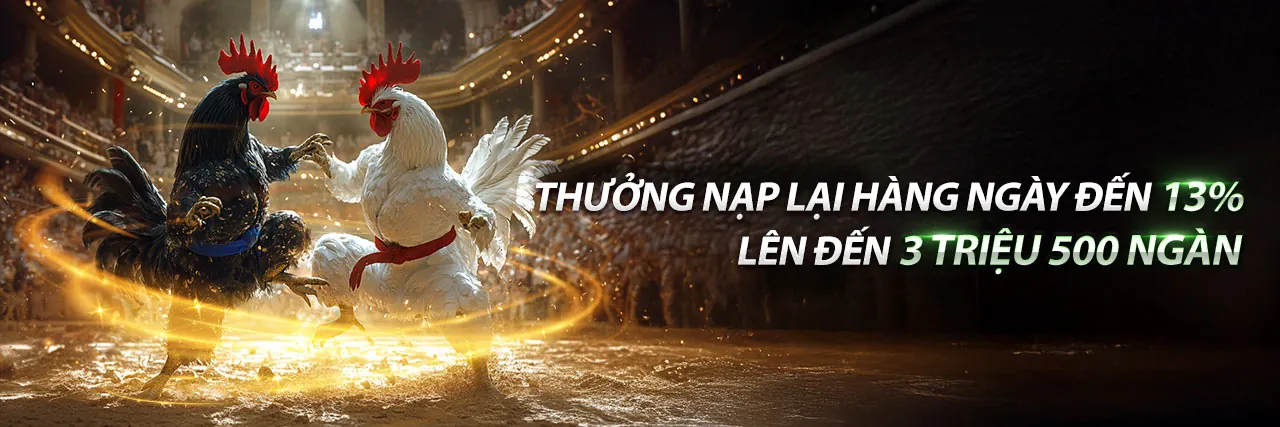 Các sự kiện và giải đấu yoo88 hấp dẫn 2026
