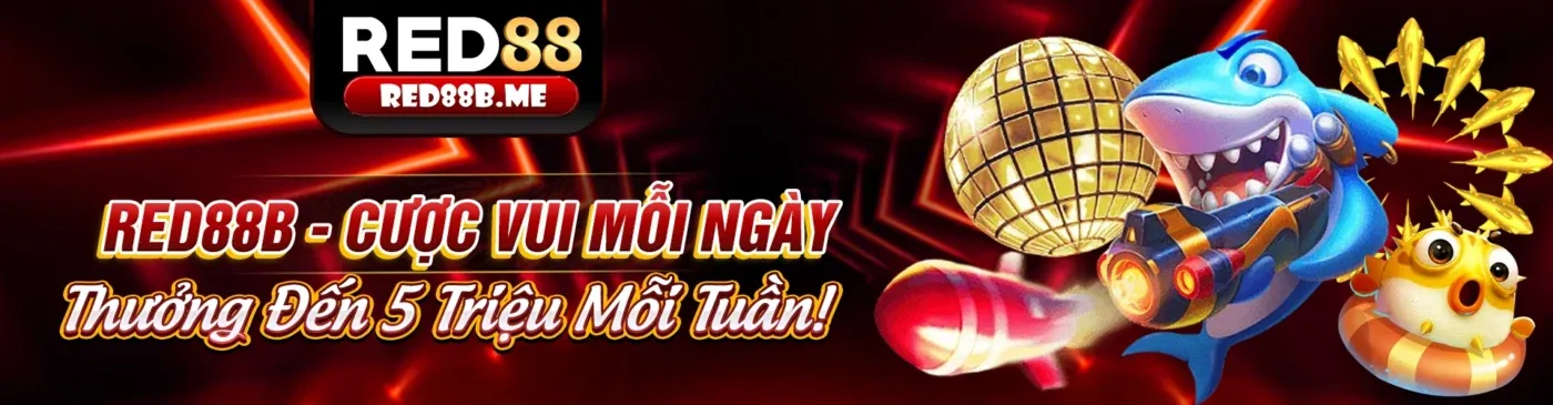 Hình ảnh banner blog yoo88